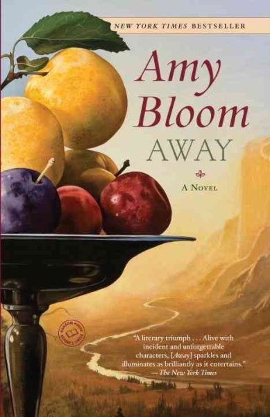 Away: A Novel cover