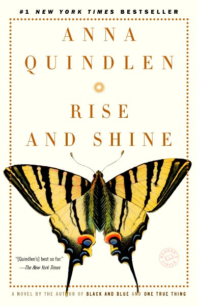 Rise and Shine: A Novel cover
