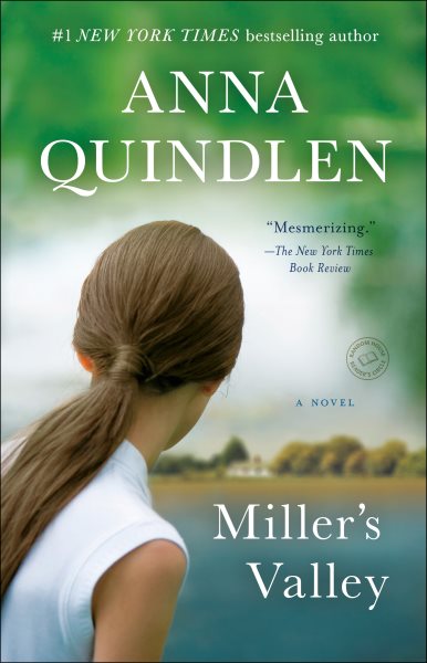 Miller's Valley: A Novel cover