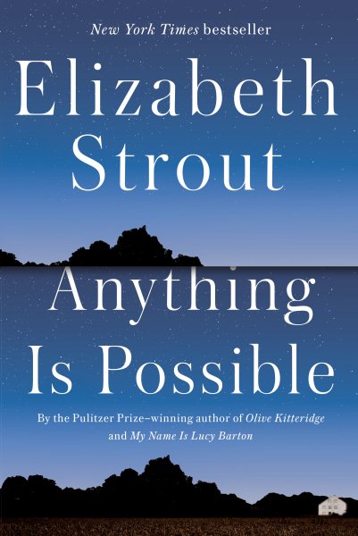 Anything Is Possible: A Novel cover