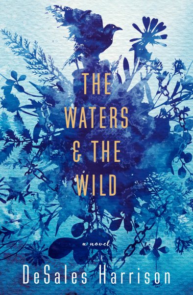 The Waters & The Wild: A Novel cover
