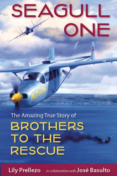 Seagull One: The Amazing True Story of Brothers to the Rescue cover