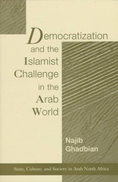 Democratization and the Islamist Challenge in the Arab World cover