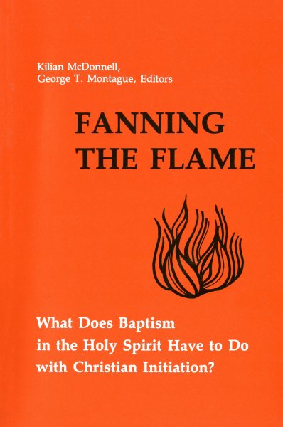 Fanning the Flame: What Does Baptism in the Holy Spirit Have to Do with Christian Initiation? cover