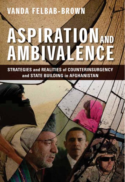 Aspiration and Ambivalence: Strategies and Realities of Counterinsurgency and State-Building in Afghanistan cover