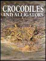 Crocodiles and Alligators cover