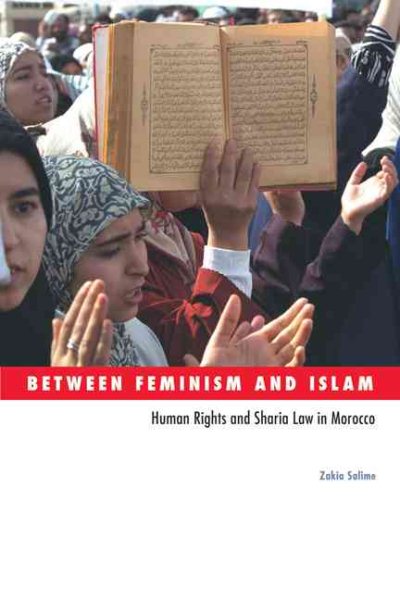 Between Feminism and Islam: Human Rights and Sharia Law in Morocco (Social Movements, Protest and Contention) cover
