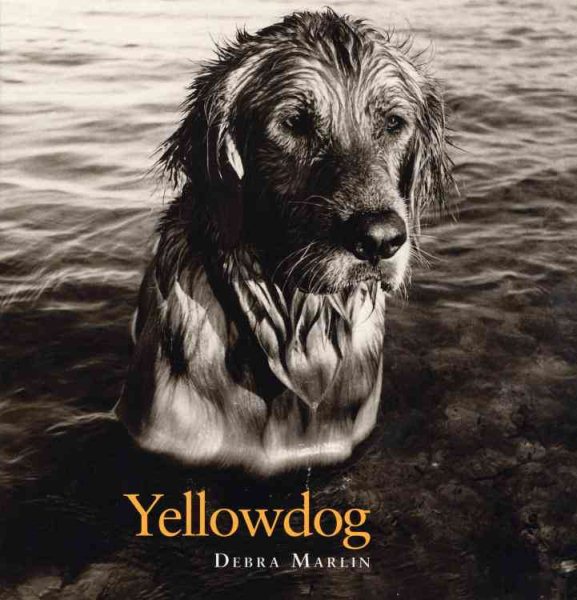 Yellowdog cover