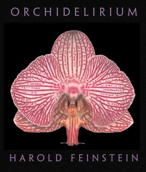 Orchidelirium cover