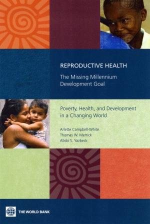 Reproductive Health: The Missing Millennium Development Goal Poverty, Health, and Development in a Changing World cover