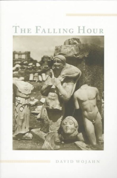 The Falling Hour (Pitt Poetry Series) cover