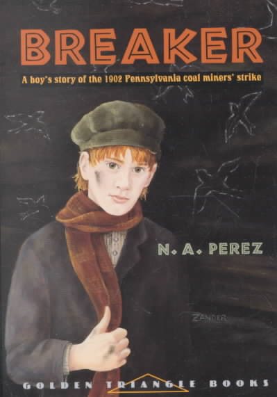 Breaker (Pitt Golden Triangle Books) cover