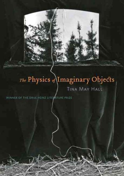 The Physics of Imaginary Objects (Pitt Drue Heinz Lit Prize) cover