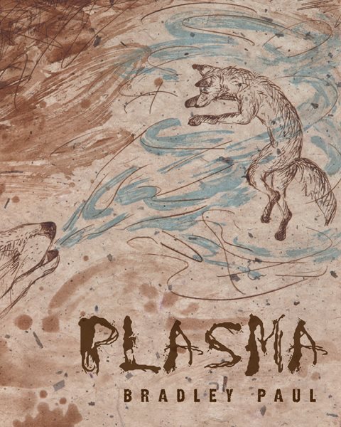 Plasma (Pitt Poetry Series) cover