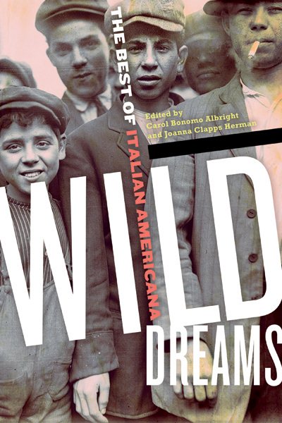 Wild Dreams: The Best of Italian Americana cover