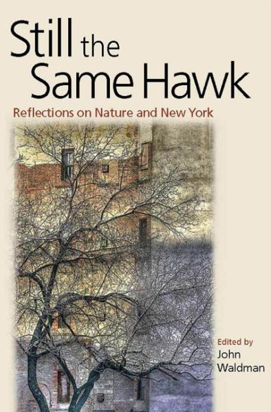 Still the Same Hawk: Reflections on Nature and New York cover