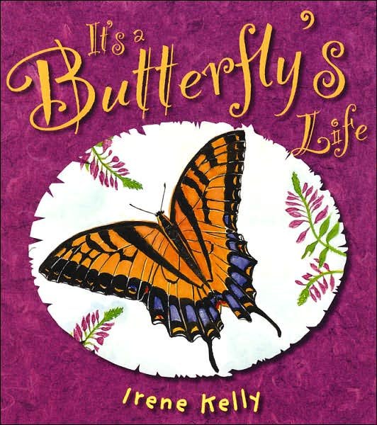 It's a Butterfly's Life cover