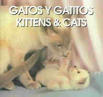 Gatos Y Gatitos/Kittens & Cats (Spanish Edition) cover