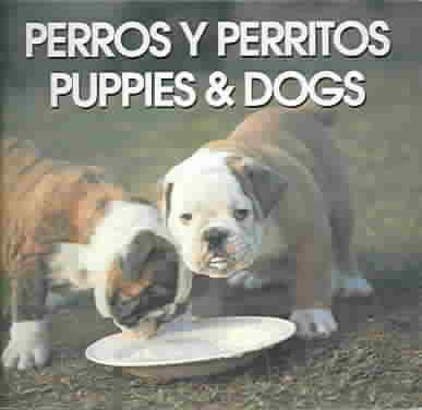 Perros Y Perritos/Puppies & Dogs (Spanish Edition) cover