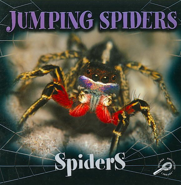 Jumping Spiders (Spiders Discovery Library) cover