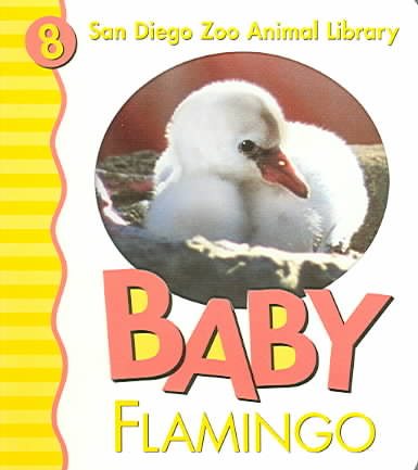 Baby Flamingo (San Diego Zoo Animal Library) cover