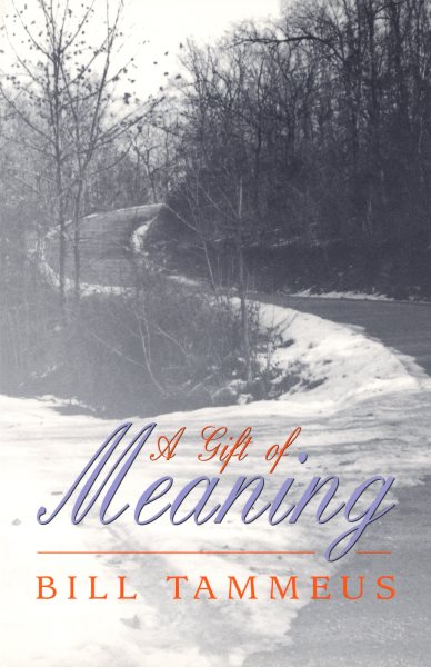 A Gift of Meaning cover