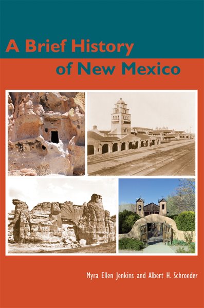 A Brief History of New Mexico cover