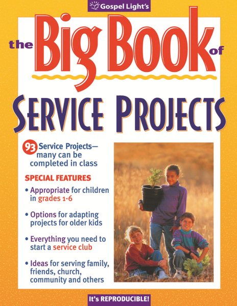 Big Book of Service Projects (Big Books) cover