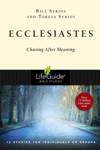 Ecclesiastes: Chasing After Meaning (Lifeguide Bible Studies) cover