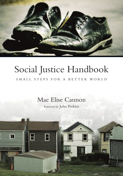 Social Justice Handbook: Small Steps for a Better World (Bridgeleader Books)