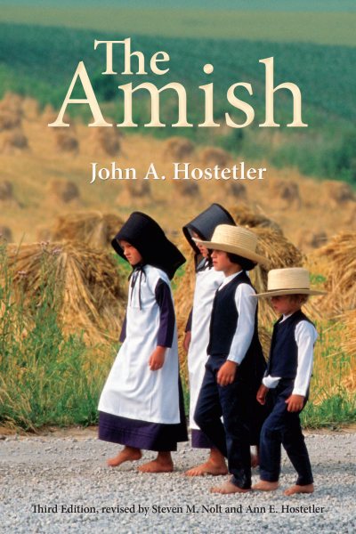 The Amish cover