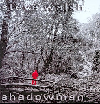 Shadowman cover