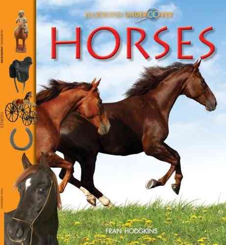 Horses (Hammond Undercover) cover