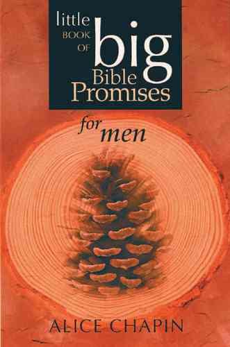 The Little Book of Big Bible Promises for Men cover
