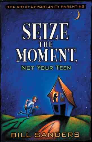 Seize the Moment (Not Your Teen) cover