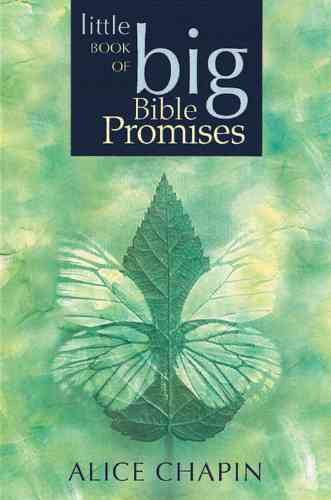 The Little Book of Big Bible Promises cover