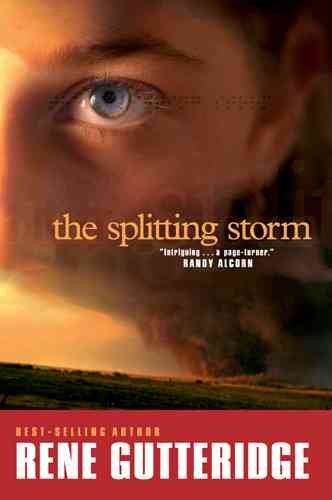 The Splitting Storm (The Storm Series #1) cover