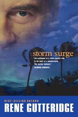 Storm Surge (The Storm Series #3) cover