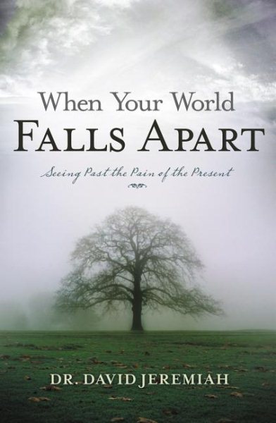 When Your World Falls Apart: See Past the Pain of the Present cover