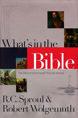 What's In The Bible The Story Of God Through Time And Eternity cover