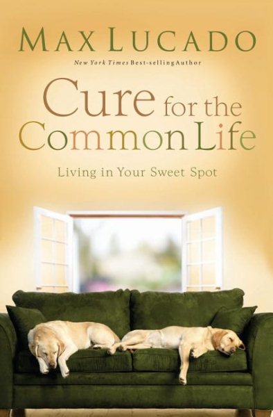 CURE FOR THE COMMON LIFE cover