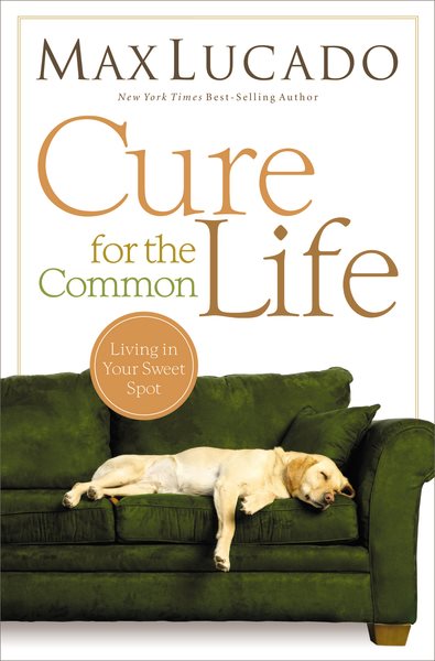 Cure for the Common Life cover