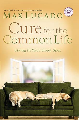Cure for the Common Life: Living in Your Sweet Spot: Women of Faith Special Edition cover