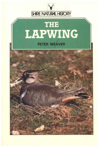 The Lapwing cover