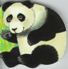 Pocket Panda (Pocket Pals) cover