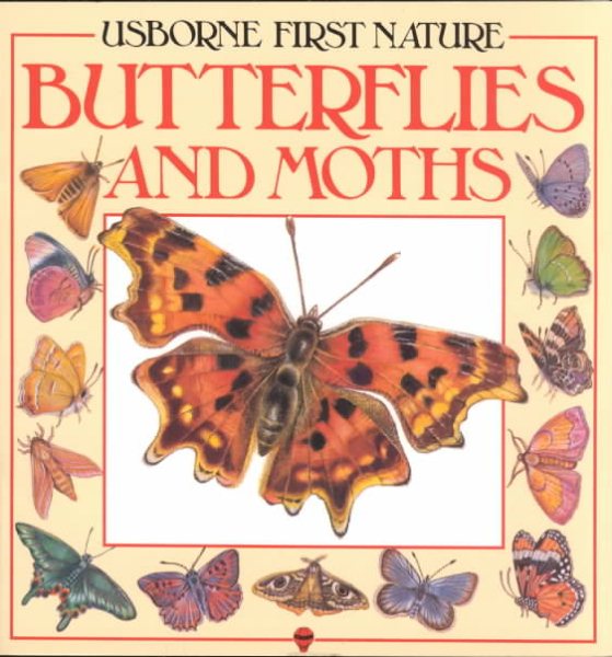 Butterflies and Moths (Usborne First Nature) cover