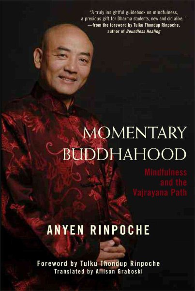 Momentary Buddhahood: Mindfulness and the Vajrayana Path cover
