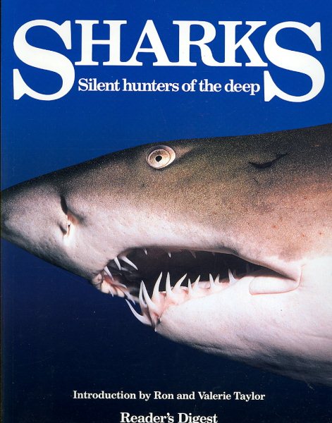 Sharks cover