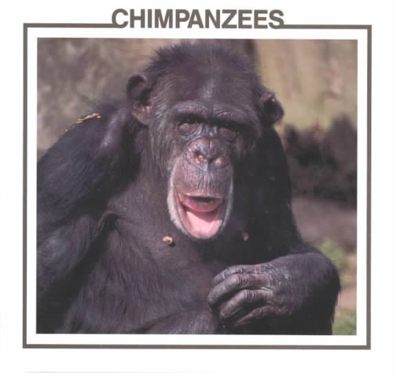 Chimpanzees (Monkey Discovery Library) cover