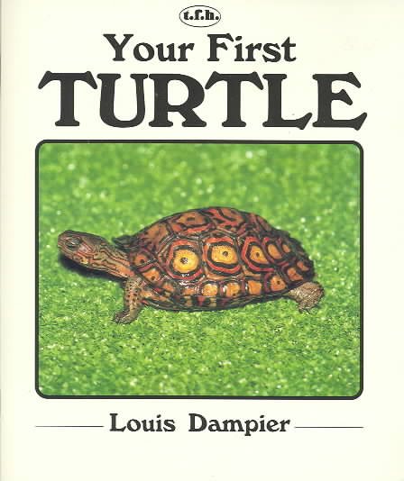 Your First Turtle cover